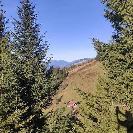 Ferienhaus Almhütte Andrea Wildschoenau