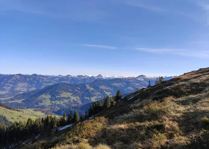 Almhütte Andrea * Wildschoenau