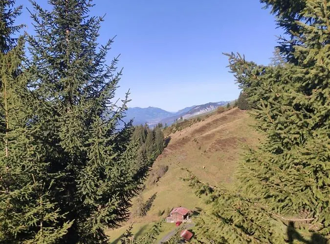 Ferienhaus Almhütte Andrea Wildschoenau