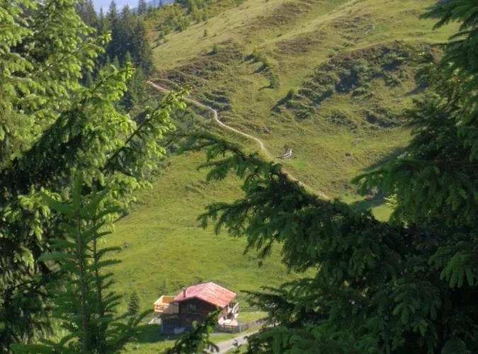 Almhütte Andrea Ferienhaus Wildschoenau
